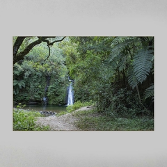 Quadro Decorativo Cachoeira na Mata Atlântica