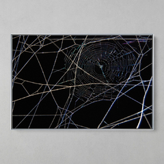 Imagem do Quadro Decorativo Geometrias da Teia de uma Aranha