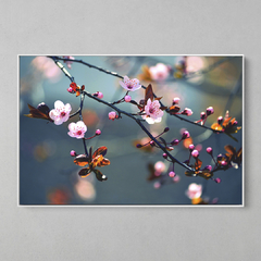 Quadro Primavera Florescendo Árvore Japonesa Sakura - comprar online