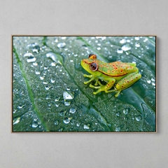 Quadro Decorativo Umidade na internet