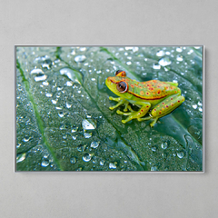 Quadro Decorativo Umidade - loja online