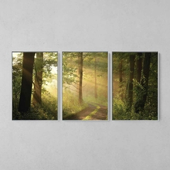 Imagem do Quadro Decorativo Tríptico Trilha Na Floresta