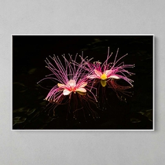 Quadro Decorativo Flores de uma Pequiarana - comprar online