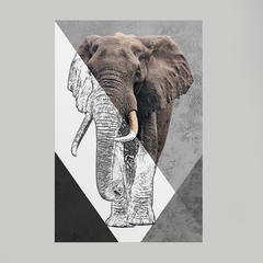 Quadro Decorativo Elefante Color/Preto e Branco