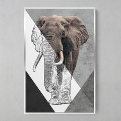 Imagem do Quadro Decorativo Elefante Color/Preto e Branco