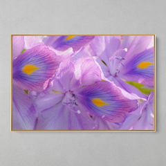 Quadro Decorativo Flores de Igarapés - loja online