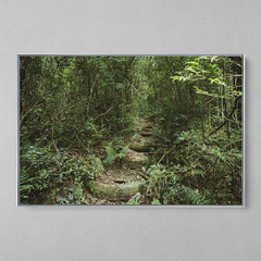 Imagem do Quadro Decorativo Verde Caminho. Mata Atlântica