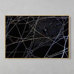 Quadro Decorativo Geometrias da Teia de uma Aranha