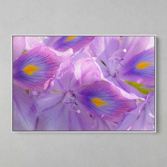 Quadro Decorativo Flores de Igarapés - comprar online