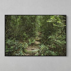 Quadro Decorativo Verde Caminho. Mata Atlântica