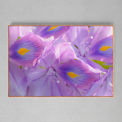 Quadro Decorativo Flores de Igarapés - Ellquadros 