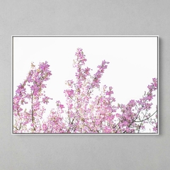 Quadro Decorativo Detalhes de uma Paineira - comprar online