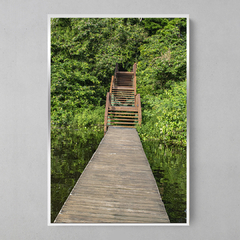 Imagem do Quadro Decorativo Ponte da Natureza na Amazônia