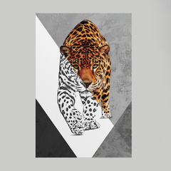 Quadro Decorativo Tigre Color/Preto e Branco