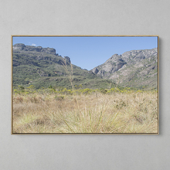 Quadro Decorativo Cerrado da Serra do Caraça na internet