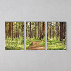 Imagem do Quadro Decorativo Tríptico Caminhos Da Natureza