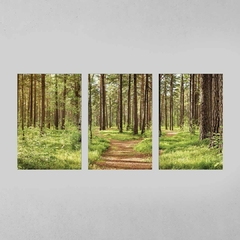 Quadro Decorativo Tríptico Caminhos Da Natureza