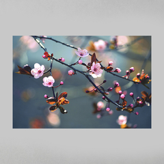 Imagem do Quadro Primavera Florescendo Árvore Japonesa Sakura