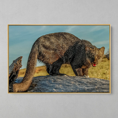 Quadro Decorativo O Jaguarundi - loja online