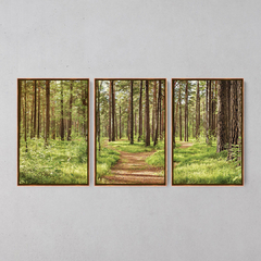 Quadro Decorativo Tríptico Caminhos Da Natureza - Ellquadros 