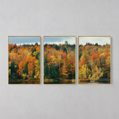 Quadro Decorativo Tríptico Cores Da Natureza - loja online