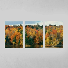 Quadro Decorativo Tríptico Cores Da Natureza