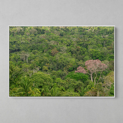 Quadro Decorativo Mirante sobre o Sul da Amazônia, Serras do Cristalino - comprar online