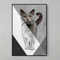 Quadro Decorativo Gato Color/Preto e Branco