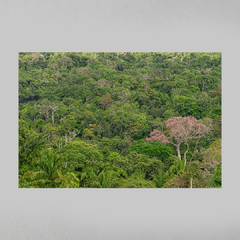 Quadro Decorativo Mirante sobre o Sul da Amazônia, Serras do Cristalino