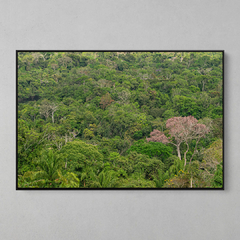 Quadro Decorativo Mirante sobre o Sul da Amazônia, Serras do Cristalino