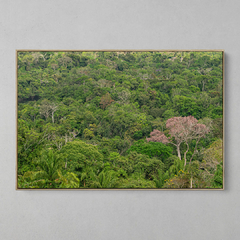 Quadro Decorativo Mirante sobre o Sul da Amazônia, Serras do Cristalino na internet