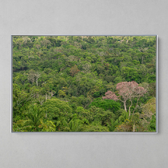 Imagem do Quadro Decorativo Mirante sobre o Sul da Amazônia, Serras do Cristalino