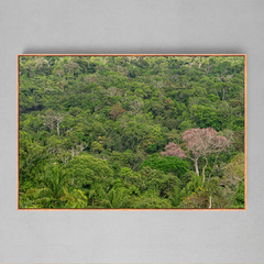 Quadro Decorativo Mirante sobre o Sul da Amazônia, Serras do Cristalino - Ellquadros 