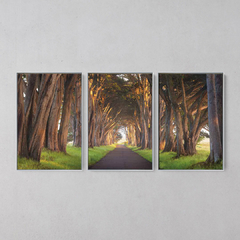 Imagem do Quadro Decorativo Tríptico Túnel Natural