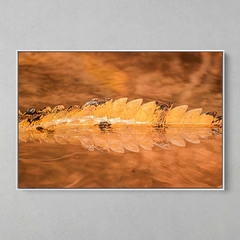 Quadro Decorativo Cauda de um Jacaretinga no Por do Sol - comprar online