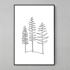 Quadro Pine Line