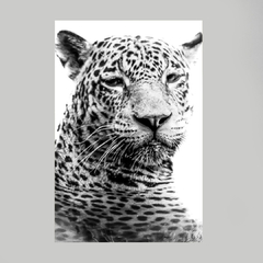 Quadro Decorativo Jaguar se Refrescando