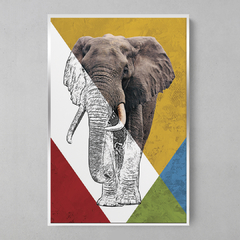 Imagem do Quadro Decorativo Elefante Color