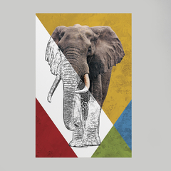 Quadro Decorativo Elefante Color