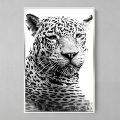 Imagem do Quadro Decorativo Jaguar se Refrescando