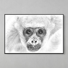 Quadro Decorativo O Muriqui