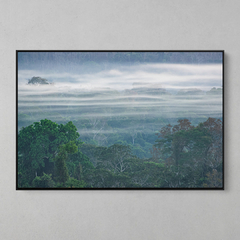 Quadro Decorativo O Rios Aéreos da Amazônia