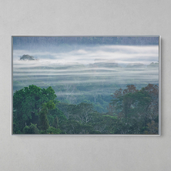 Imagem do Quadro Decorativo O Rios Aéreos da Amazônia