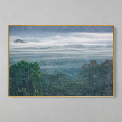 Quadro Decorativo O Rios Aéreos da Amazônia - loja online