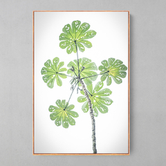 Quadro Decorativo Embaúba. A Árvore que alimenta a Floresta - Ellquadros 