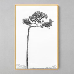 Quadro Decorativo Castanheira Solitária - loja online