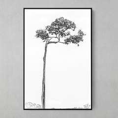 Quadro Decorativo Castanheira Solitária