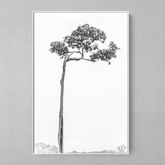 Quadro Decorativo Castanheira Solitária - comprar online