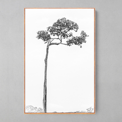 Quadro Decorativo Castanheira Solitária - Ellquadros 