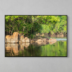 Quadro Decorativo Reflexões do Rio Cristalino, Ilha do Papagaio, Amazônia